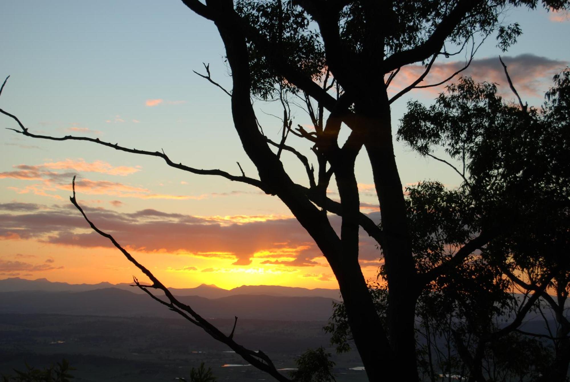 Witches Falls Cottages Mount Tamborine Esterno foto